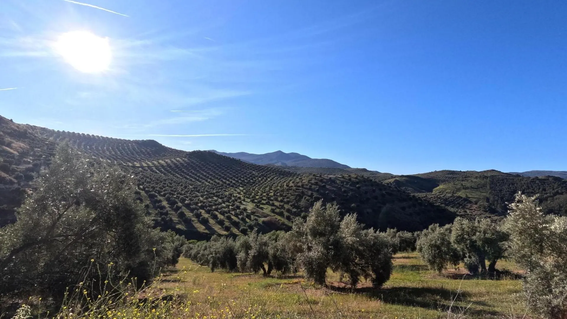 Сasa de vacaciones Alojamiento Turistico Loma Alta Cambil
